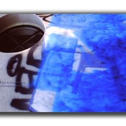 Picta0001sm_card