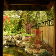 Window_view_of_asian_garden_card