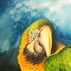 Parrots_thumb
