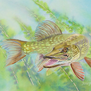 583jw_card