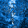 Epicbluephoenixsmaller_thumb