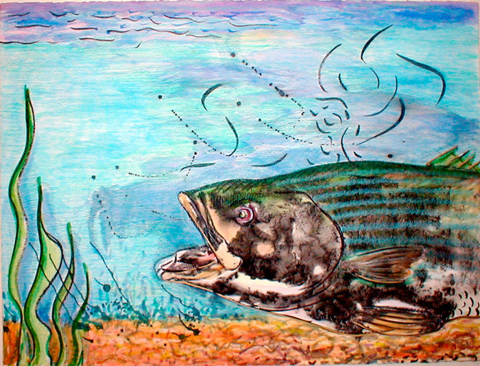 Bottom-fish-ii_card