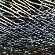 Img_2259_card