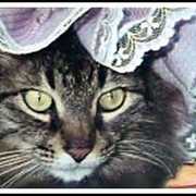 Pretty-in-pink-brenda-garacci_card