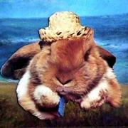 Beach-bunny-brenda-garacci-a5950_card