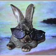 Cool-in-shades-brenda-garacci_card