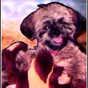 Playtime-brenda-garacci-a5950_card
