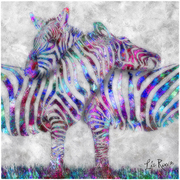 Zebra-couple_nyweb_card
