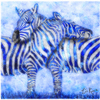 Zebrablues_nyweb_thumb