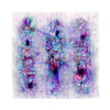 Jewel_caves_web_thumb