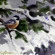 Chickadee_card