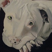 Pitpup_card