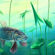 594_2jw_card