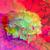 Startrekimage_tiny_square