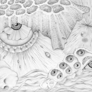 Sea_deep_in_wisdom_150_card