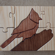 Jay_1_card