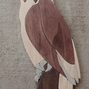 P5030063_card