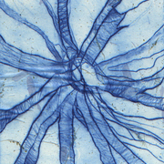 Plant_fibre_blue_cropped_card