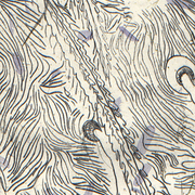 Exoskeleton_cropped_card