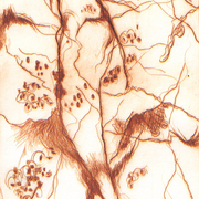 Rock_cropped_card