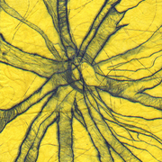 Plant_fibre_yellow_cropped_card