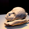 Img_9229-001_thumb