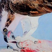 Imag0140_card