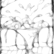 Image_2012-12-12_152852_card