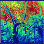 ______5025_card