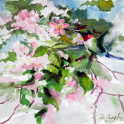 Hummingbird_card
