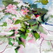 Hummingbird_square