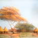 African_vilage_square