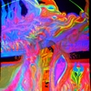 Viking_king__75