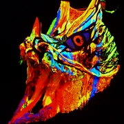 Woven_dragon_head__400