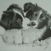 Puppies_card