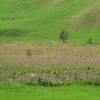 Img_3780b_thumb