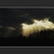 Aa_gunpowder_park_2_tiny_square