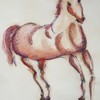 Caballo_10_thumb
