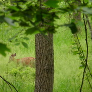 P5220098_card
