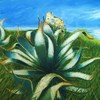 Agave_thumb