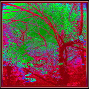 ______5026_card