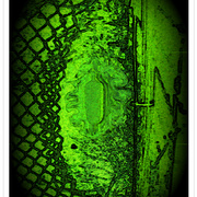 The_fence_card