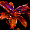 _wjk5748_thumb