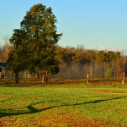 Misty_morning_in_country_card