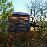 Little_cabin_in_scenic_card