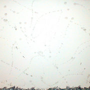 Asteroid-space_card