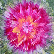 Fscn2371_card