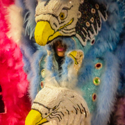 Img_1352_card