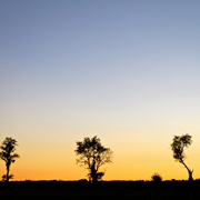 Img_2421_card