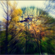 ______5021_card